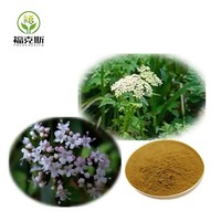 Extrait de racine de valériane en poudre, 0,8% d'acide valérique, Valeriana Officinalis, extrait végétal naturel, matière première en vrac