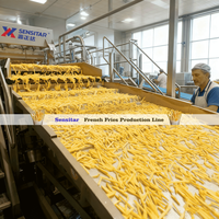 Sensitar Nederlandse Technologie Plc Gereguleerde Hoge Automatische Grote Capaciteit 2000 Kg/u Aardappel Bevroren Frietjes Maken Machine