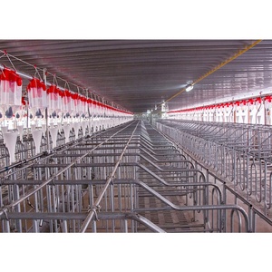 Équipement <span class=keywords><strong>d</strong></span>'<span class=keywords><strong>élevage</strong></span> : Cages de mise bas galvanisées pour truies, enclos de gestation pour truies, barres de localisation et colonnes de limitation - Product Image 5