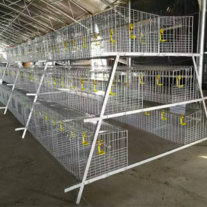 Di alta qualità allevamento di pollo di deposizione delle uova di <span class=keywords><strong>un</strong></span> tipo 3 pneumatici strato gabbia di pollo automatico - Product Image 5
