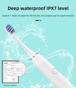 Ipx7 Waterproof Soft Bristle Vibrating Portable Rechargeable Sonic Electric Toothbrush