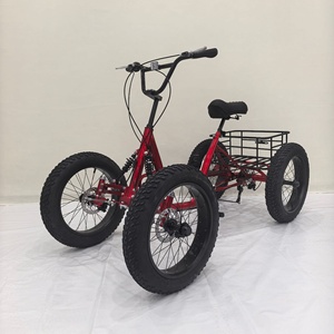 Bicicletta Fuoristrada a Quattro <span class=keywords><strong>Ruote</strong></span> con Pneumatici Larghi, Telaio in Acciaio, Forcella in Alluminio, Freni a Disco, <span class=keywords><strong>Ruote</strong></span> da 20 Pollici - Product Image 1