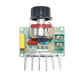Hot Voltage Regulator Voltage Speed Controller AC 220V 4000W SCR Dimmer