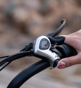 Bicicleta Eléctrica Plegable KL6S con Neumáticos Anchos, 500W, 48V, 120km de Autonomía, Doble Batería, para Adultos, Disponible en Almacén de la UE - Product Image 2