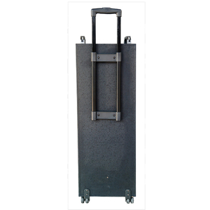 M Double 12 pouces Subwoofer Trolley Speaker Big Power Outdoor Bluetooth Portable Wireless Party Speaker avec RGB Light - Product Image 2