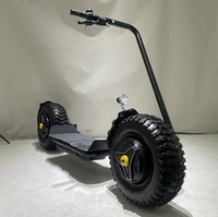 2026 2000W 60V 20Ah Batterie au lithium GPS Pliable Étanche Longue portée Citycoco Scooter électrique à pneus larges Moto hybride verrouillable