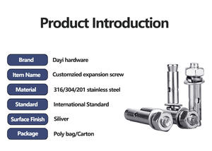 201/304/316 bullone di ancoraggio di azionamento a martello In acciaio inossidabile esterno esteso tipo di espansione Drop-In - Product Image 5