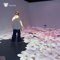 Juegos Interactivos de Proyección para Niños, Sistema de Proyección Interactiva para Piso, Juego de Proyección Interactiva para Piso