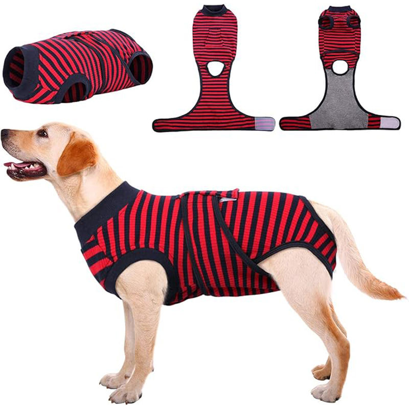 แถบสีแดง