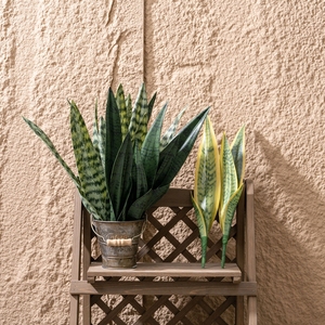 CL20003 Flores Artificiales Tigre Piraña Plantas Suculentas Faux <span class=keywords><strong>Sansevieria</strong></span> Planta Hojas Serpiente Verde Decoración PARA EL Hogar Oficina Jardín - Product Image 2