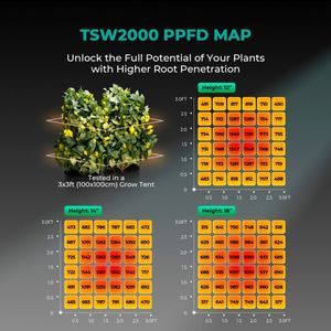 Lámpara de Cultivo LED Cuántica de Espectro Completo Regulable de Alta Eficiencia <span class=keywords><strong>Mars</strong></span> Hydro TSW-2000 de 300W para Plantas de Interior - Product Image 2
