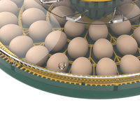 Nouvel incubateur automatique compact pour l'éclosion de 52 œufs de poule, taux d'éclosion de 98 %, contrôle de température haute précision