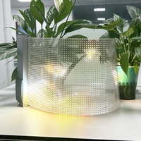 Para instalación de vidrio Pantalla de película publicitaria Película LED transparente Pantalla LED de vidrio transparente suave Módulo de pantalla LED Flexible