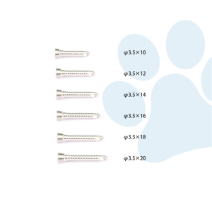 Veterinaire orthopedische implantaten, roestvrijstalen vergrendelende botschroeven voor chirurgische fixatie-instrumenten - Product Image 5