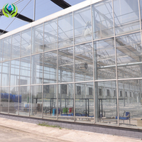 Serre agricole de grande envergure MYXL, structure Venlo pour l'agriculture commerciale