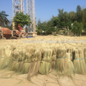 Matière première pour balai en herbe du Vietnam, matière première pour la fabrication de balais en herbe - Product Image 1