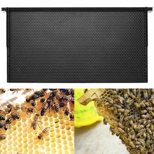 Fondazione in plastica per apicoltura 483*232mm per Apis Mellifera, Strumenti per telaini e arnie per api da miele - Product Image 2