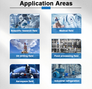 210l 20bar Hoge Druk Medisch Gebruik Dewar Cryogene Vloeibare Stikstof Zuurstofcilinder Dewar Fles - Product Image 4
