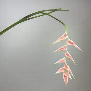 Yeni buket yapay çiçek gerçek dokunmatik kuş cennet uzun kök çiçek gerçek dokunmatik yapay çiçek düğün masa Wedding için - Product Image 6