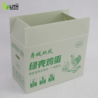 Cartons à œufs en carton ondulé recyclables et robustes pour œufs de poule - Emballage PP personnalisé écologique imprimé, 480 unités, pour cadeaux et achats