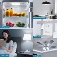 Ampoule Globe Filament LED G45 Edison 2W/4W/6W AC220V E27 Base Angle de faisceau de 360 degrés Économie d'énergie Verre clair