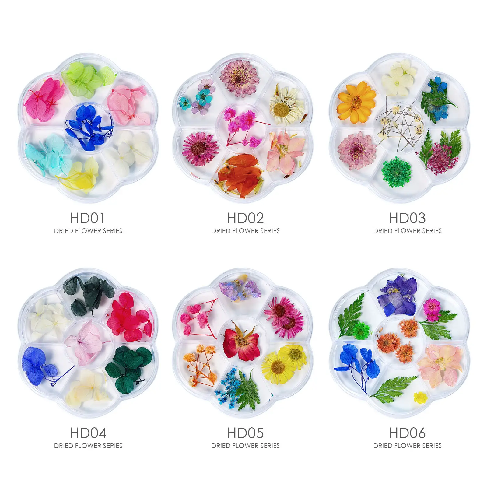 Hoa Khô Móng Tay Tự Nhiên Nhiều Màu Trang Trí 3D Nghệ Thuật Đóng Hộp 7 Ô