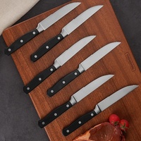 Klassieke steakmes van roestvrij staal met geborstelde afwerking en zacht kunststof handvat voor het snijden van fruit en groenten, klassieke keuken.