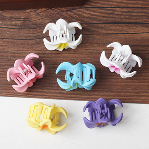 Ensemble de 6 pinces à cheveux en plastique de 4 cm, design européen et américain, motif floral élégant et mignon, pour queue de cheval, accessoires de <span class=keywords><strong>mariage</strong></span> pour femmes - Product Image 4
