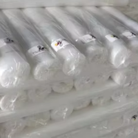 Filet anti-insectes en HDPE résistant aux UV, filet anti-insectes pour le jardin et la ferme, lutte contre les parasites