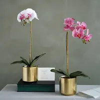 Mini vaso de planta orquídea dourada, moderno para uso interno, pote de flores, suculento para bonsai, cerâmica
