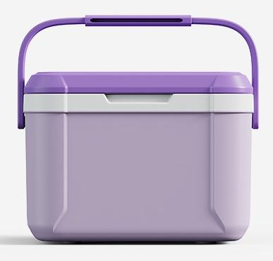 Viola
