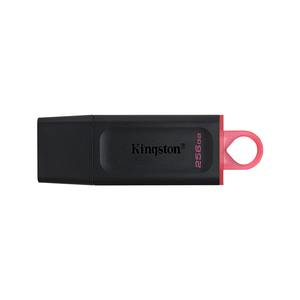 Unidad Flash USB 3.2 Kingston de 256 GB con Diseño de Anillo Colgante Rosa - Product Image 1