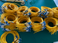 LC/UPC 2.0mm 3.0mm 1M 2M 3 mètres monomode OS2 G652D LSZH licht wellenleiter LWL Duplex patchwork câbles de raccordement à Fiber optique LC-LC