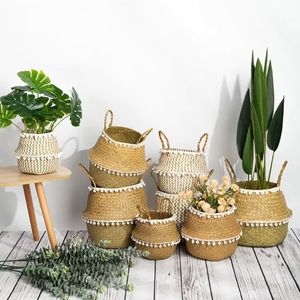 Premium Seagrass Belly <b>Basket</b> with Tassel Fringe <b>Foldable</b> Woven Toy Storage Laundry Organizer Eco-Conscious Home Product - Product Image 3