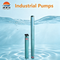 Pompe centrifuge submersible pour puits profond, machine de pompage d'eau, irrigation agricole, Bomba Centrifuga Paraagua
