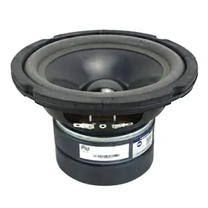 Altoparlante hifi video per conferenze ad alta potenza 6 "ktv 6.5" mid bass dual magnetic horn