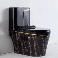 Articles sanitaires modernes de luxe Cuvette de toilette allongée en porcelaine noir et or pour les villas, piège en S en céramique à double chasse d'eau