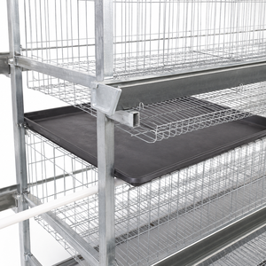 Sistema di Allevamento Automatico per 40.000 Polli, Gabbie per Alimentazione, Sistema a Batteria Tipo H per Galline Ovaiole - Product Image 3