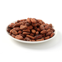 Grano de cacao tostado de Ecuador CBR01