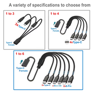 Câble d'extension USB-C femelle vers mâle à 3/4/6 ports, câble répartiteur USB-C, cordon de chargeur multi-hub pour appareils USB-C et Micro USB