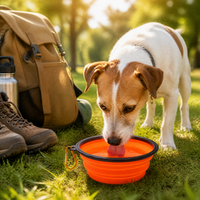 Bol pliable pour chien, coloré, 350 ml, portable, étanche, en silicone écologique, solide, pliable, pour l'extérieur