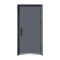 Portes extérieures à double entrée avant avec construction antivol en acier pour la sécurité de la maison-Design contemporain