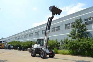 एपा और यूरो5 उत्सर्जन में अधिकतम <span class=keywords><strong>T3000</strong></span> निर्माण लोडर मिनी टेलीस्कोपिक बूम व्हील लोडर - Product Image 5