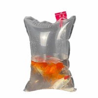 Sac de transport portable pour poissons vivants pour la pêche en extérieur 20*40, sac de stockage pour poissons frais de tournoi avec compatibilité oxygène, sac étanche