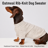 Pull en tricot d'hiver élégant pour Bichon Frise, haut thermique pour chats et petits chiens, vêtement pour animaux de compagnie tendance, favori des influenceurs