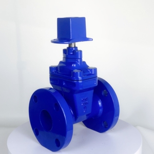 Veyron AWWA Manuel Su Geçirmez Flanşlı Sürgülü Vana Dökme Demir Gövde 150mm AWWA Sınıf 125 250psi 300psi - Product Image 6