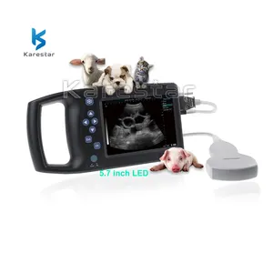 기타 수의학 기기 수의사 휴대용 초음파 염소, 양, 고양이, 개, 돼지, 수의학 노트북 초음파 스캐너