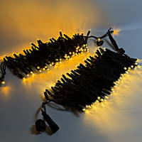 Maßgefertigte IP65 Wasserdichte Schwarze Gummikabel 110V LED-Lichterkette für Außenbereich Kommerzielle Weihnachtsbaumbeleuchtung