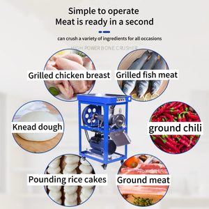 Trituratore di Ossa ad Alta Efficienza per Pesce e Pollame, Converte Pesce Intero e Strami di Pollo in Farina di Ossa Nutriente e Mix di Carne Tritata - Product Image 2