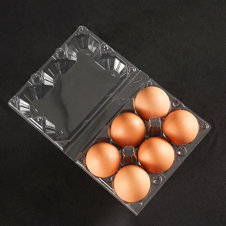 Disposable 6 Holes Egg Carton Packing Tray Suppliers Transparent PET Plastic Blister Trays for Eggs